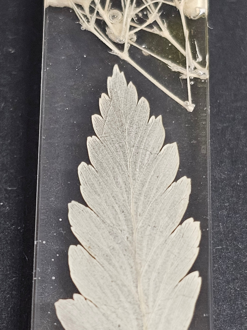 Epoxy earrings - suho bilje